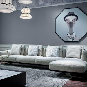 home, sofa, interior, sofa, sofa, sofa, sofa, sofa